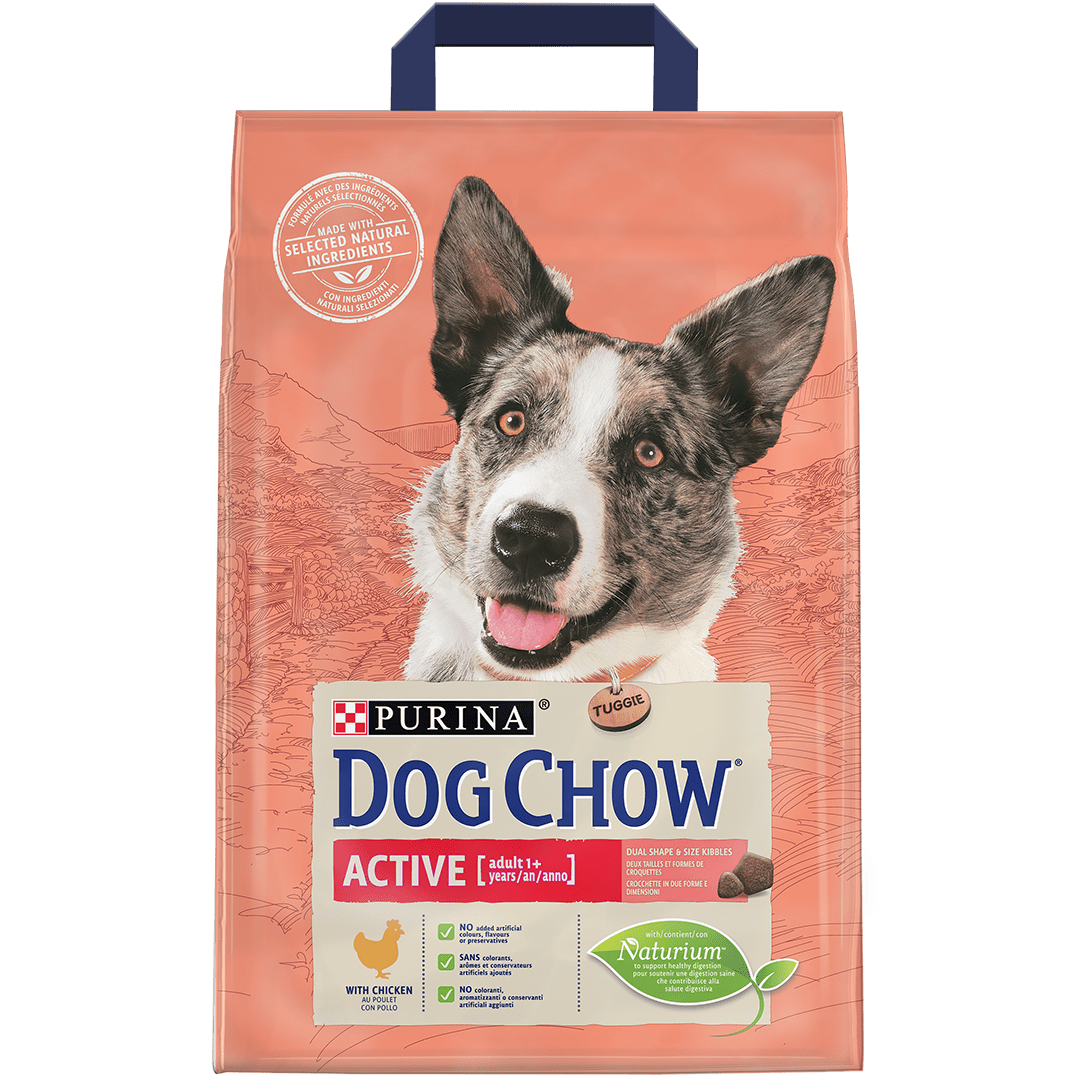 Purina dog online chow active